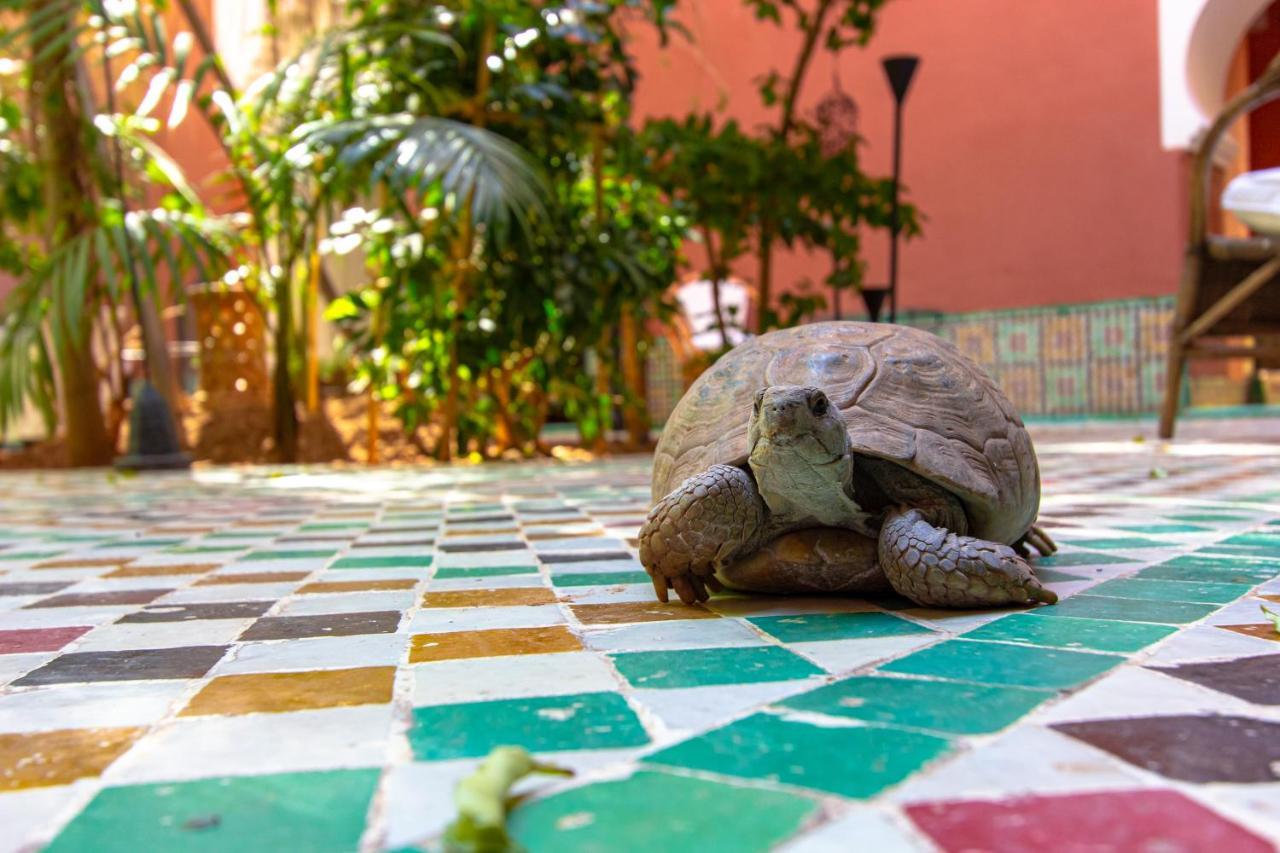 Riad Kaiss By Anika Marrakesh Exterior foto